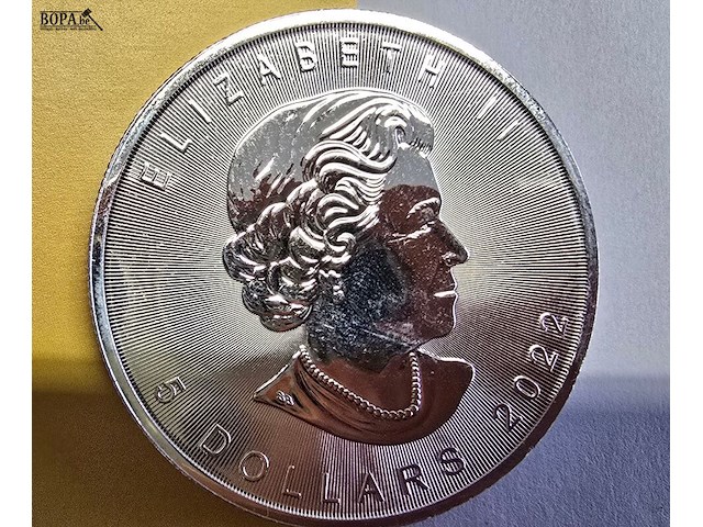 Lot 11 - canada maple zilveren munten (2022) (2 stuks) - afbeelding 2 van  4