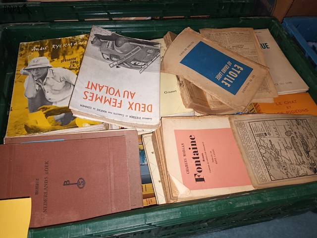 Lot 11 - franstalige boeken. 2 bakken - afbeelding 3 van  3