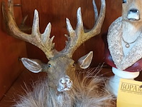 Lot 11 - gewei decoratie. 4 stuks - afbeelding 2 van  4