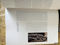 Lot 11 - medieval catalonia - afbeelding 4 van  6
