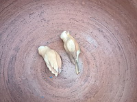Lot 11 - vazen en schaal. 3 stuks - afbeelding 4 van  4