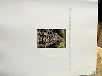 Lot 110 - chateaux demeures de charme dans le vignoble bordelais - afbeelding 2 van  7