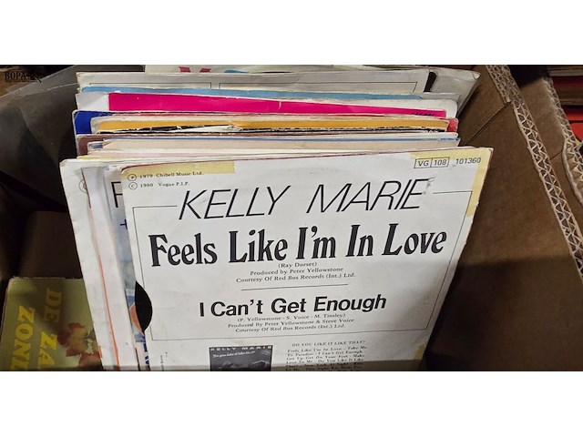 Lot 110 - doos lp's en singles - afbeelding 3 van  3
