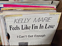 Lot 110 - doos lp's en singles - afbeelding 3 van  3