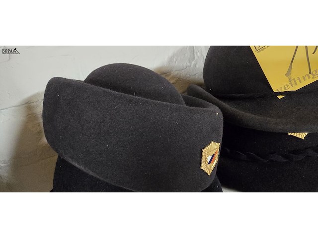 Lot 110 - slovenië 4 vrouwelijke - afbeelding 3 van  5