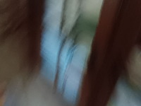 Lot 111 - boeken en kinderboeken - afbeelding 3 van  3