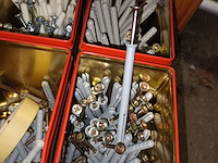 Lot 113 - schroeven met plug - afbeelding 2 van  2