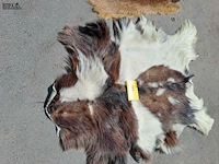 Lot 114 - vintage dierenvellen konijn en geit - afbeelding 3 van  3