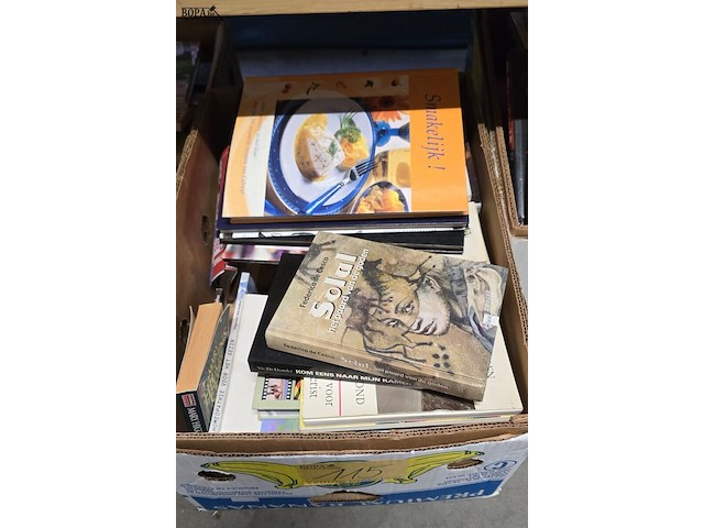Lot 115 - doos diverse boeken - afbeelding 1 van  2