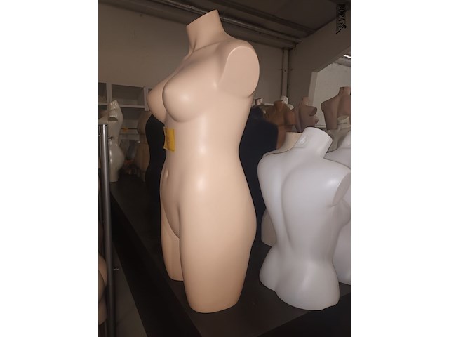 Lot 115 - paspop torso vrouw - afbeelding 2 van  2