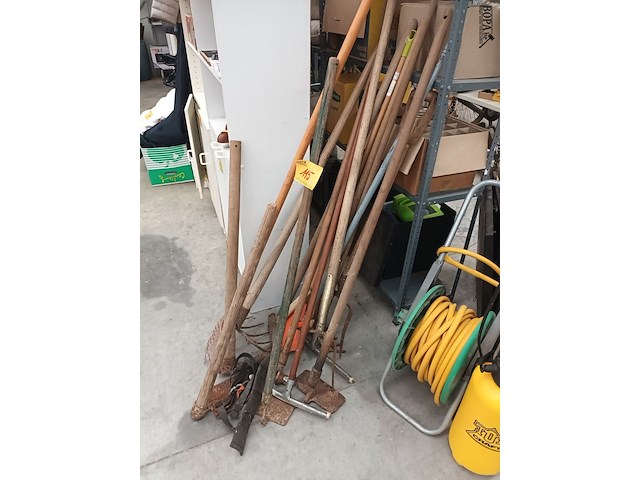 Lot 115 - tuinmateriaal - 12 stuks - afbeelding 2 van  4