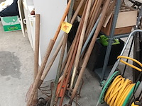 Lot 115 - tuinmateriaal - 12 stuks - afbeelding 2 van  4