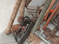 Lot 115 - tuinmateriaal - 12 stuks - afbeelding 4 van  4