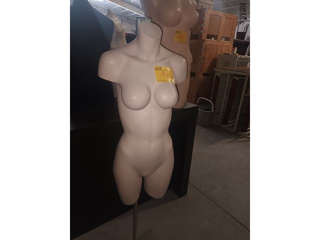 Lot 116 - paspop vrouw torso op statief - afbeelding 3 van  3