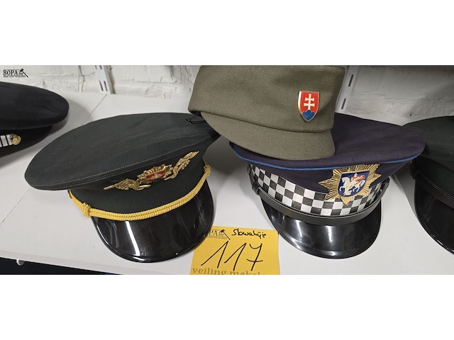 Lot 117 - slowakije 3 kepies - afbeelding 1 van  4