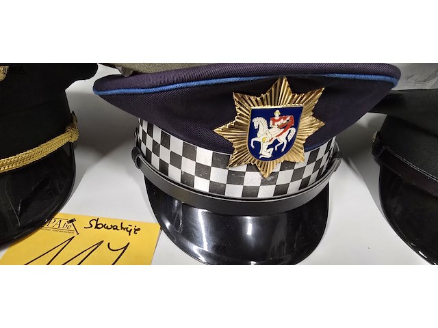 Lot 117 - slowakije 3 kepies - afbeelding 3 van  4