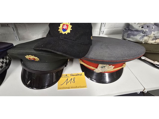 Lot 118 - slowakije 2 kepies + 1 pet - afbeelding 1 van  4