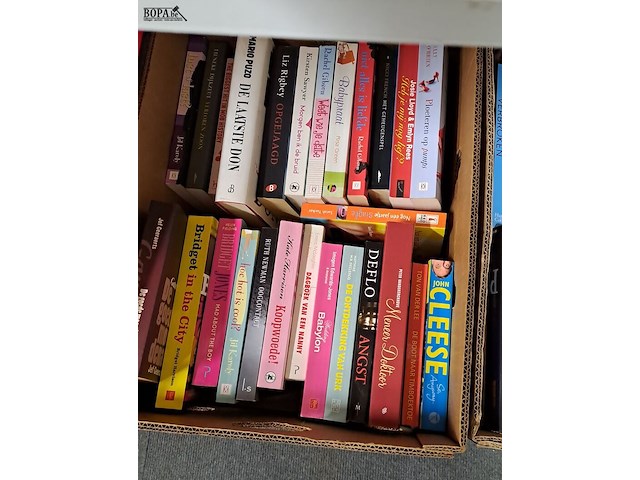 Lot 119 - doos met boeken ong 26 stuks - afbeelding 1 van  3