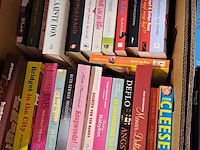 Lot 119 - doos met boeken ong 26 stuks - afbeelding 1 van  3