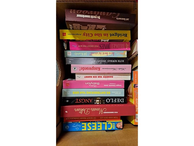 Lot 119 - doos met boeken ong 26 stuks - afbeelding 2 van  3