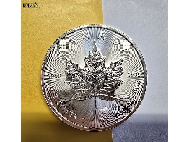 Lot 12 - canada maple zilveren munten (2022) (2 stuks) - afbeelding 1 van  4