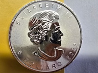 Lot 12 - canada maple zilveren munten (2022) (2 stuks) - afbeelding 2 van  4