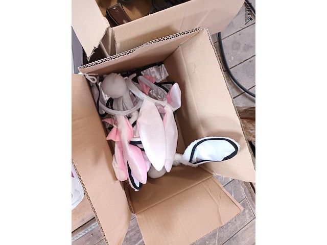 Lot 12 - diverse verkleed thema’s - afbeelding 4 van  7