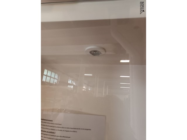 Lot 12 - vitrine kastjes. 3 stuks - afbeelding 3 van  4