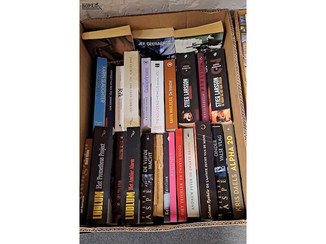 Lot 120 - doos met boeken ong 25 stuks - afbeelding 1 van  3