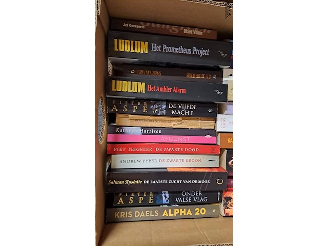 Lot 120 - doos met boeken ong 25 stuks - afbeelding 2 van  3