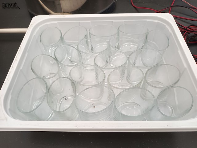 Lot 120 - lot apero glaasjes - afbeelding 4 van  4