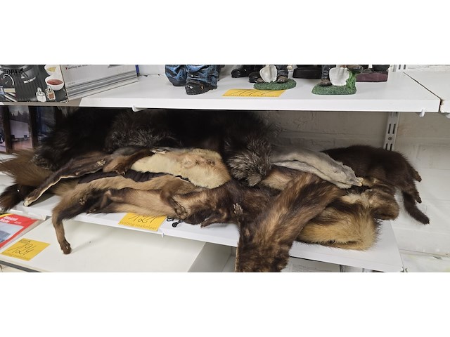 Lot 121 - diverse marterhuiden sjaaltjes ong 10 stuks - afbeelding 1 van  6