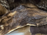 Lot 121 - diverse marterhuiden sjaaltjes ong 10 stuks - afbeelding 6 van  6