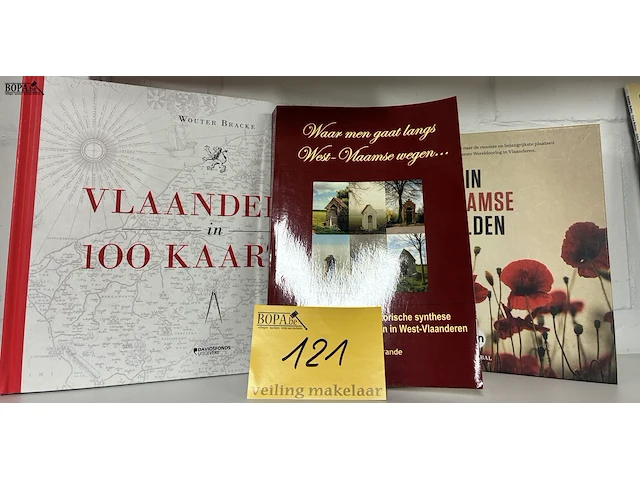 Lot 121 - lot boeken 'vlaanderen' - 3 stuks - afbeelding 1 van  4