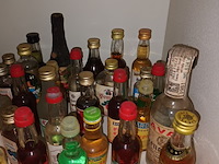 Lot 121 - miniatuur likeurflesjes. 50 stuks - afbeelding 3 van  5