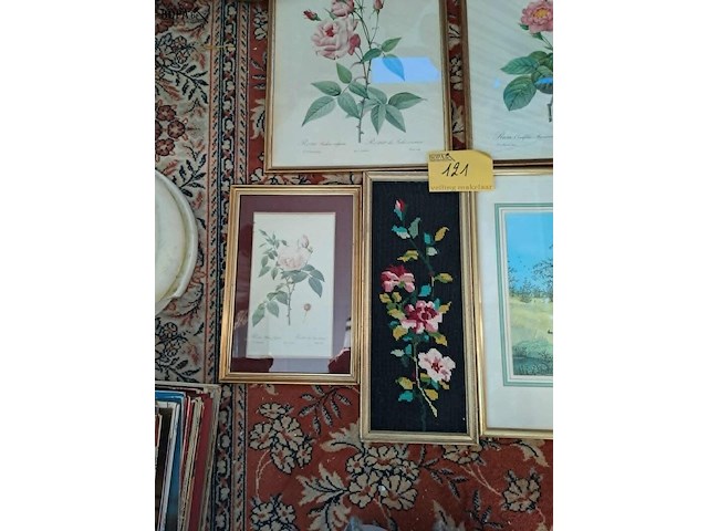 Lot 121 - set van 5 kaders met planten - afbeelding 1 van  1
