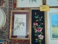 Lot 121 - set van 5 kaders met planten - afbeelding 1 van  1