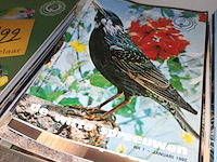 Lot 122 - tijdschriften de witte spreeuwen. 60 stuks - afbeelding 3 van  4