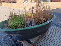 Lot 123 - tuinvijver - afbeelding 3 van  3