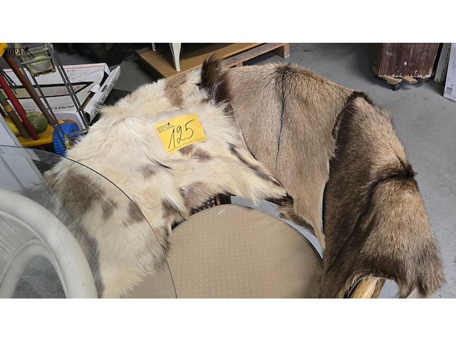 Lot 125 - geitevellen 3 stuks - afbeelding 1 van  3