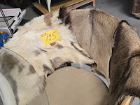 Lot 125 - geitevellen 3 stuks - afbeelding 1 van  3