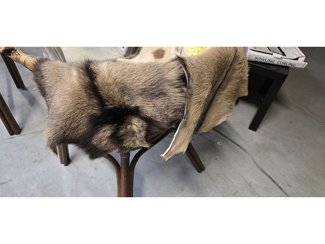 Lot 125 - geitevellen 3 stuks - afbeelding 2 van  3