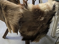 Lot 125 - geitevellen 3 stuks - afbeelding 3 van  3