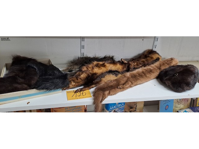 Lot 126 - lot bont 6 stuks - afbeelding 1 van  4