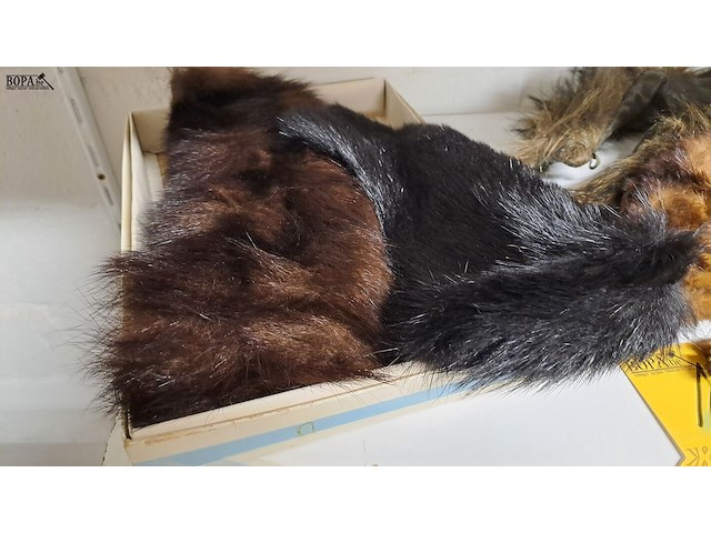 Lot 126 - lot bont 6 stuks - afbeelding 2 van  4