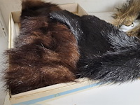 Lot 126 - lot bont 6 stuks - afbeelding 2 van  4