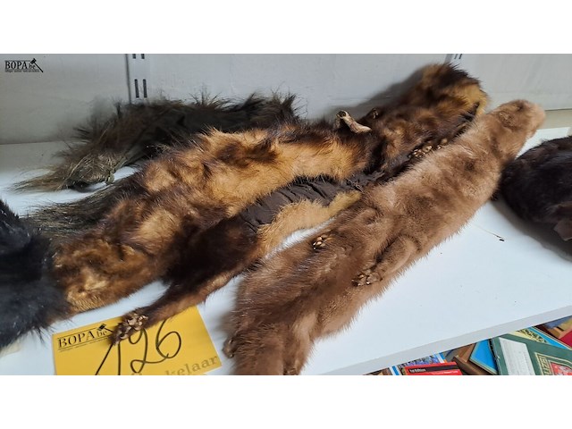 Lot 126 - lot bont 6 stuks - afbeelding 3 van  4