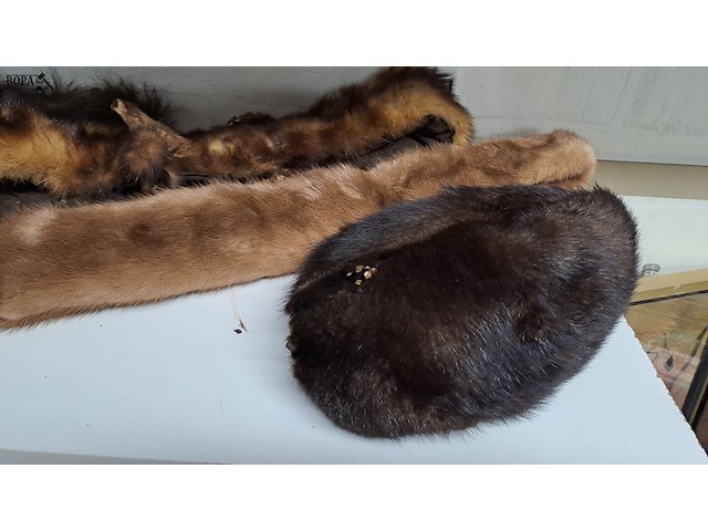 Lot 126 - lot bont 6 stuks - afbeelding 4 van  4