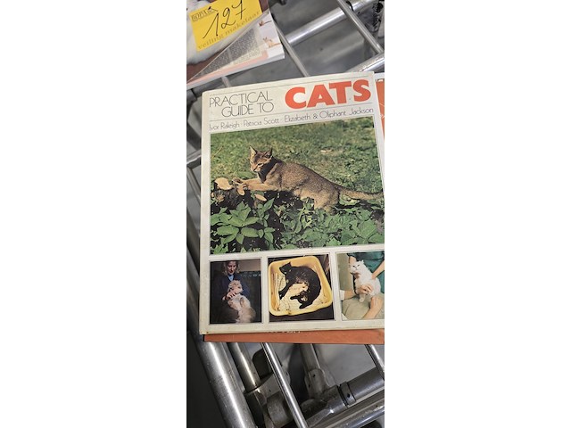 Lot 127 - katten boeken 4 stuks - afbeelding 2 van  4