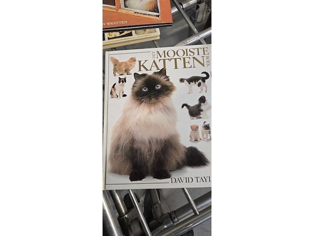 Lot 127 - katten boeken 4 stuks - afbeelding 4 van  4